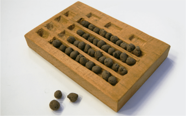 Abacus onion