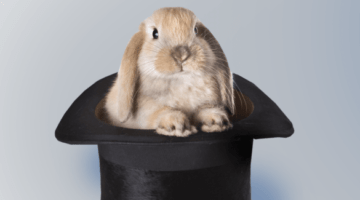 кролик, фокус, шляпа