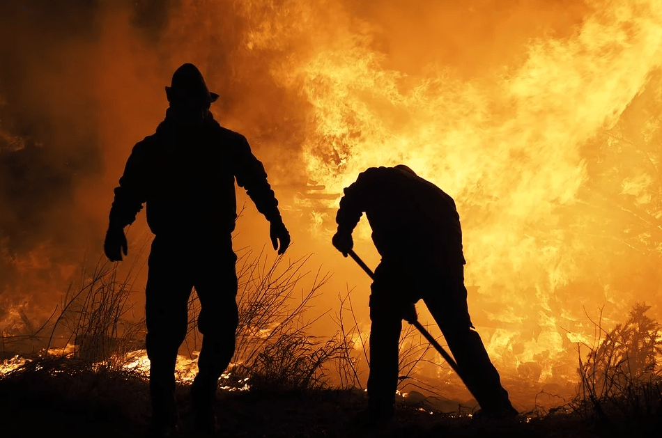 Эксперт: из-за пожаров в Австралии поднялся индекс Мосбиржи