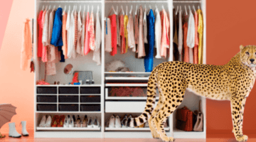 Трусы с котятами и леопардовый принт: сколько стоит идеальный гардероб?