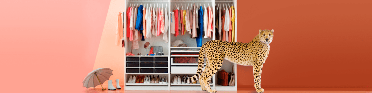 леопард, гардероб, вещи