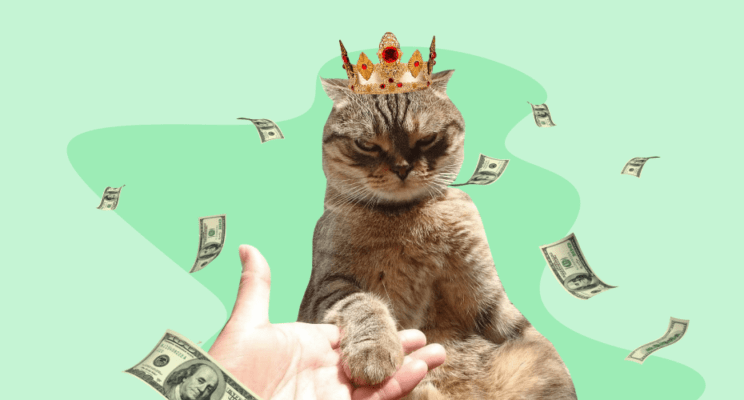 богатый кот, корона, деньги