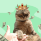 богатый кот, корона, деньги