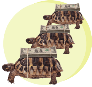 черепаха, деньги, гонки