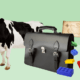 корова портфель лего карта сокровищ