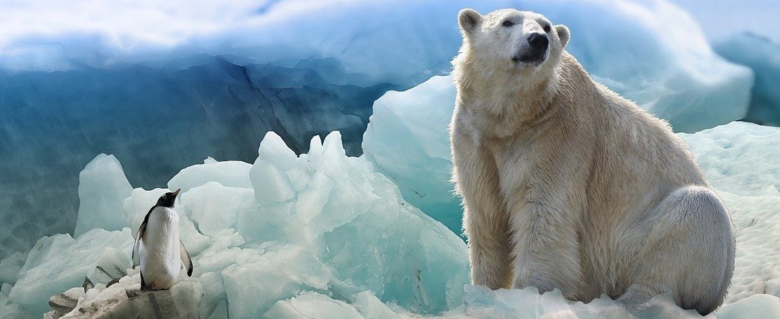 Россиянам хотят бесплатно раздать по 100 соток земли в Арктике