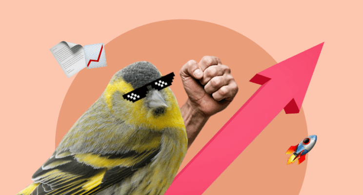 чижик вверх рост ракета акции