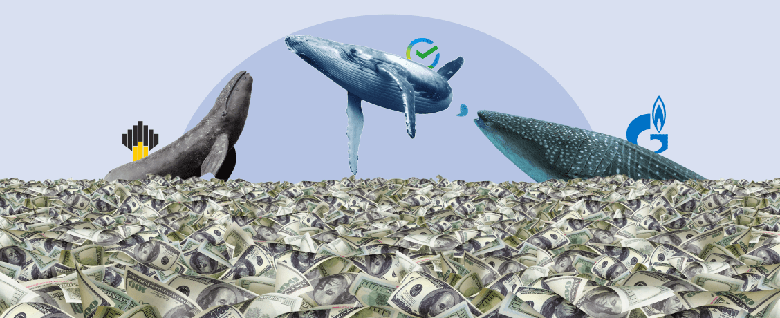кит кашалот акула море денег