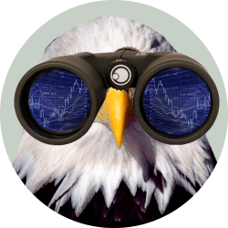 Американский Белый Орел  смотрит в бинокль, в бинокле отражаются биржевые графики