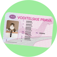 водительские права, на которых крупно написано "VODITELSKIE PRAVA"