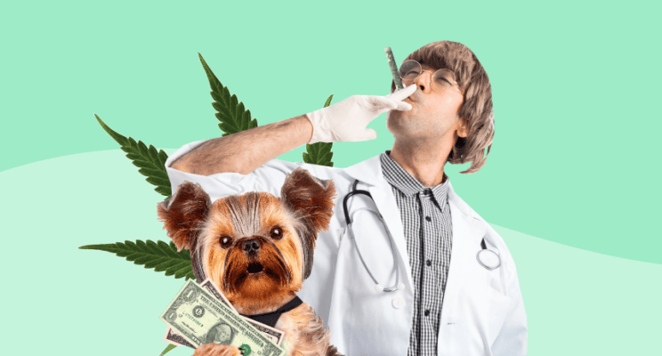 Маленькие да удаленькие: топ-5 акций по 1 доллару