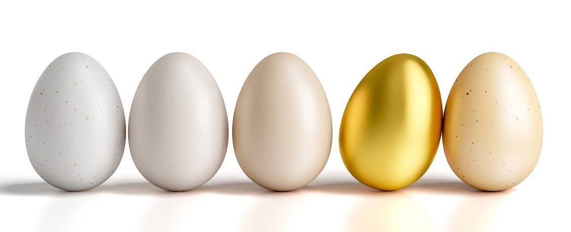 Власти заинтригованы, почему яйца стали «золотыми»