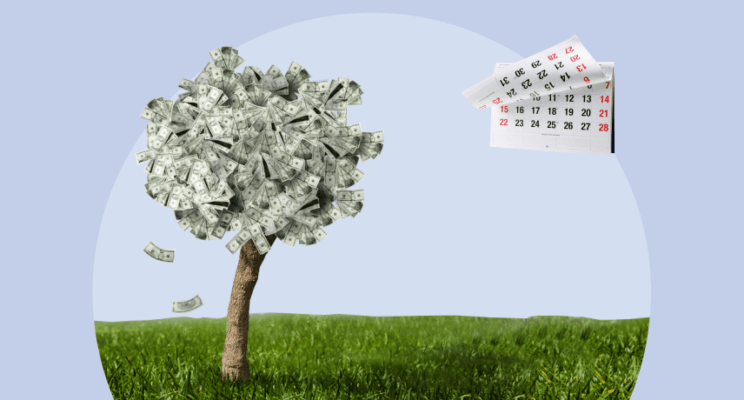 Итоги первой недели весны: что происходило с 1 по 5 марта