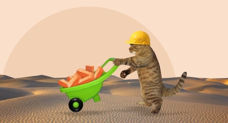 Сквоттеры-льготники. Как получить землю от государства бесплатно