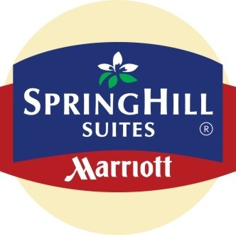 5 место: SpringHill Company (США)