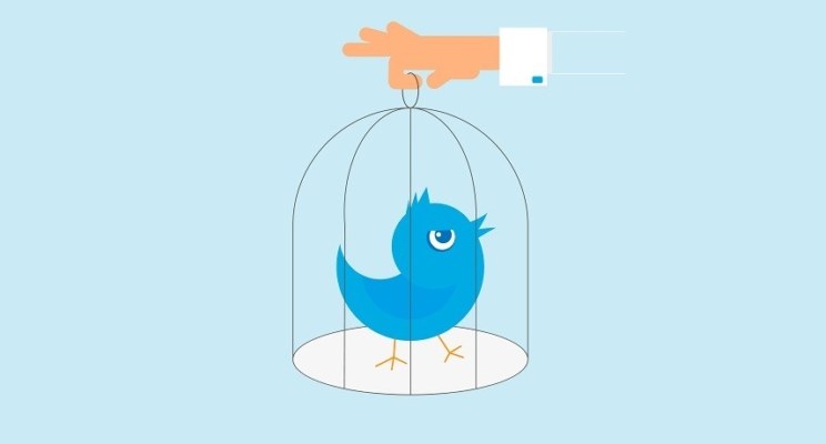 twitter