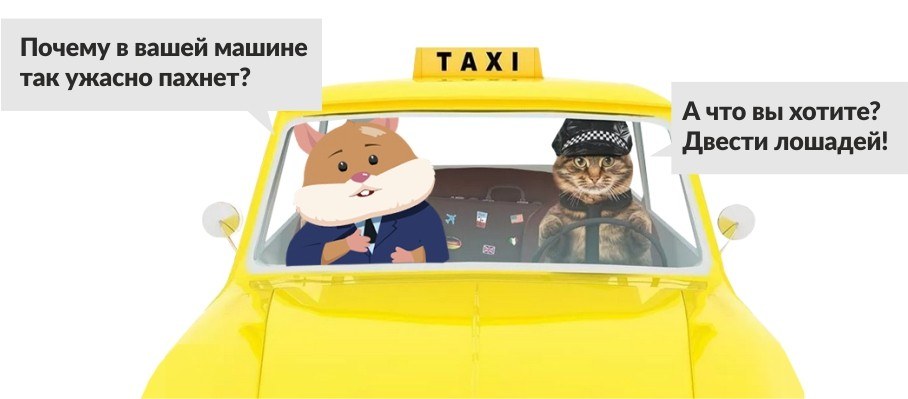 хомяк Жора Капустин в такси