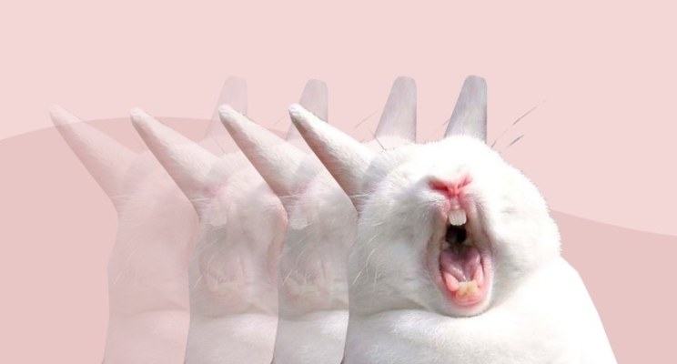 «Я набрала кредитов на 3 млн, платежи сжирают 80 % дохода»: Как выбраться из долгового ада