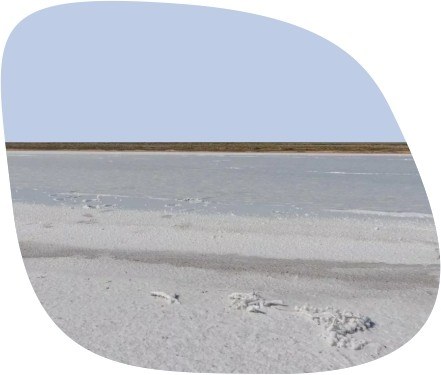 Мертвое море Калмыкии