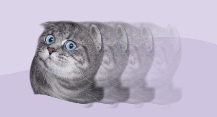 «Обещали 500 % годовых, я взяла три кредита». Реальная история ошибки ценою в миллион