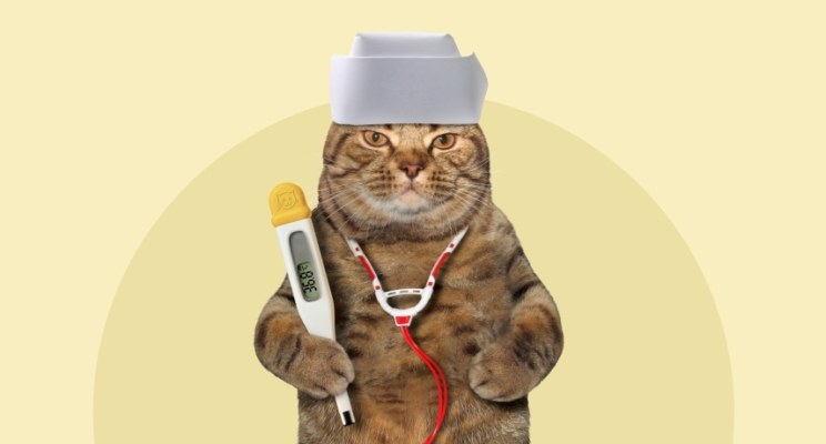 На здоровье! Как пройти углубленную диспансеризацию