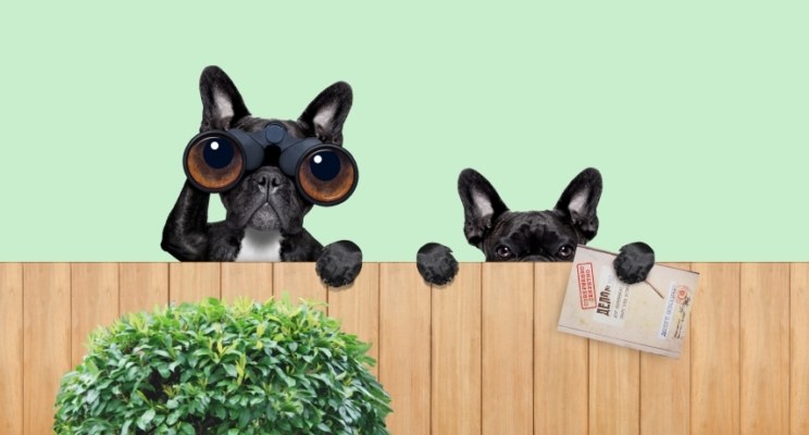 Секретные материалы на фондовом рынке: что такое инсайдерская информация