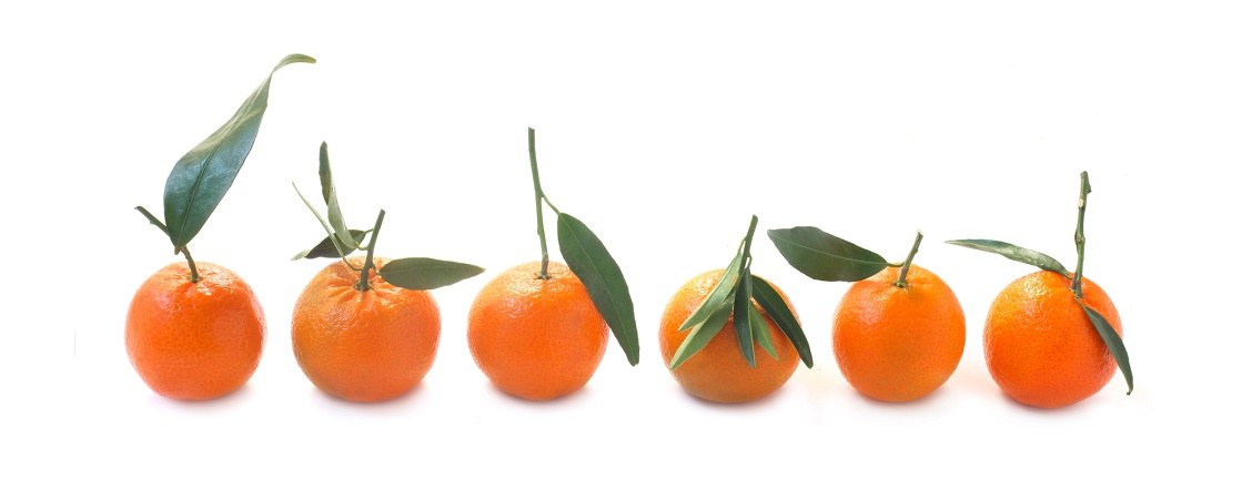 Оранжевое настроение: на Новый год россиянам пообещали дешевых мандаринов