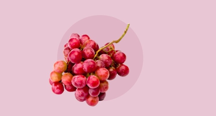 In vino veritas: инвестиции в вино