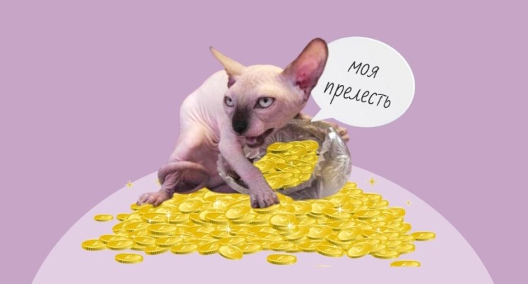 Спасибо не надо: как понять, что тебе не нужен управляющий деньгами