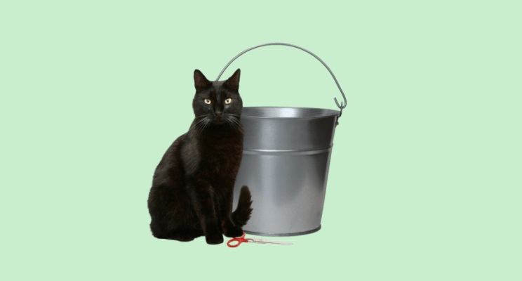 14 денежных примет, которые реально работают