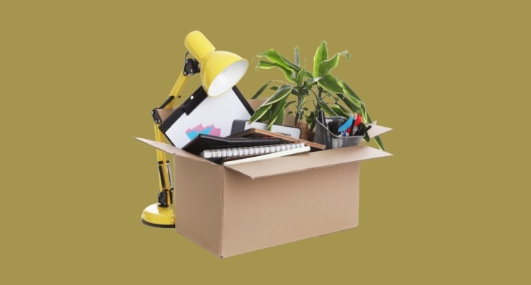 Не хочу учиться: 6 навыков для заработка без высшего образования