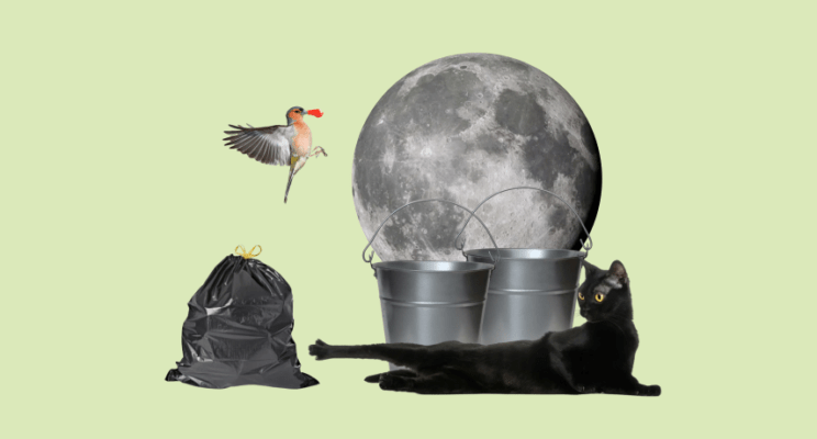 «Чтобы деньги пришли, нужен лишь простой...»: финансовые приметы, в которые мы верим