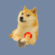 Собака друг человека: обзор криптовалюты Shiba Inu