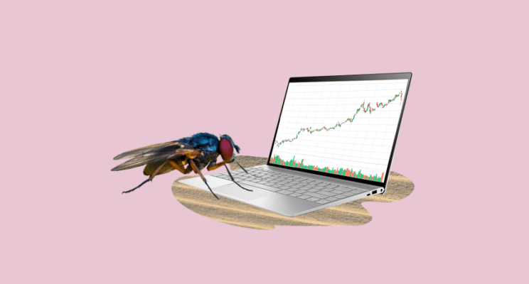 Повторюха-муха, или как узнать, какие акции покупают миллионеры