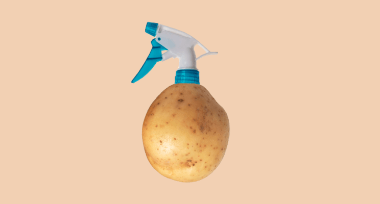 Экологично и экономично: топ-8 заменителей бытовой химии, о которых вы не знали