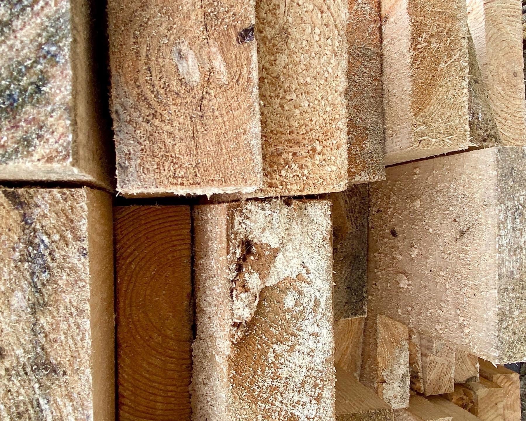 Аналитики: Россия резко сокращает лесозаготовки и вывоз древесины