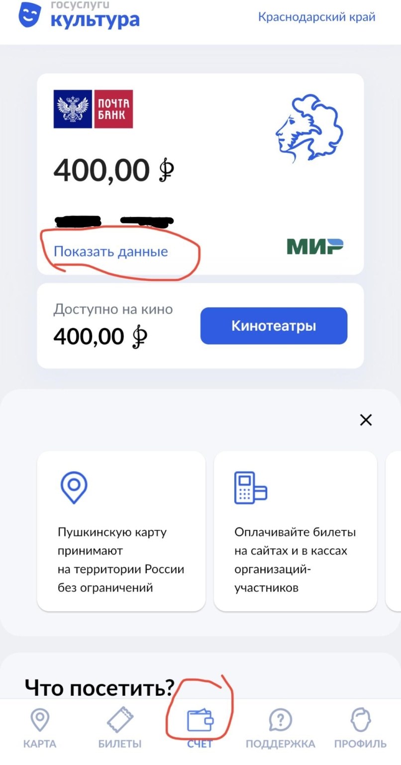 Купить Билеты По Пушкинской Карте Саранск