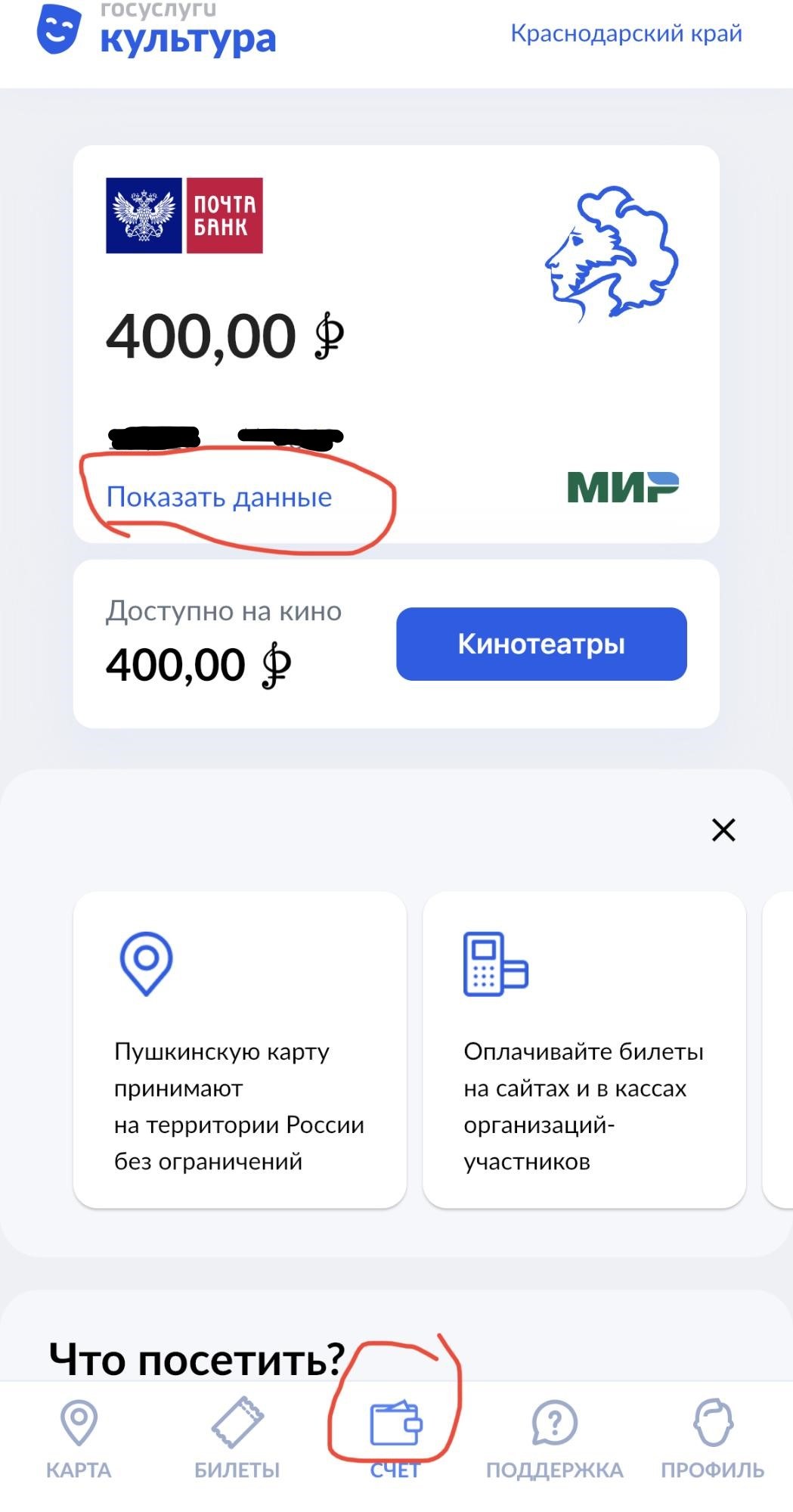 Почему пушкинская карта не оплачивает билеты. Оплатить Пушкинской картой.