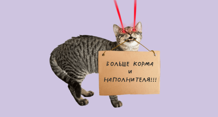 Когда не платят зарплату. Как правильно провести забастовку, чтобы добиться своего