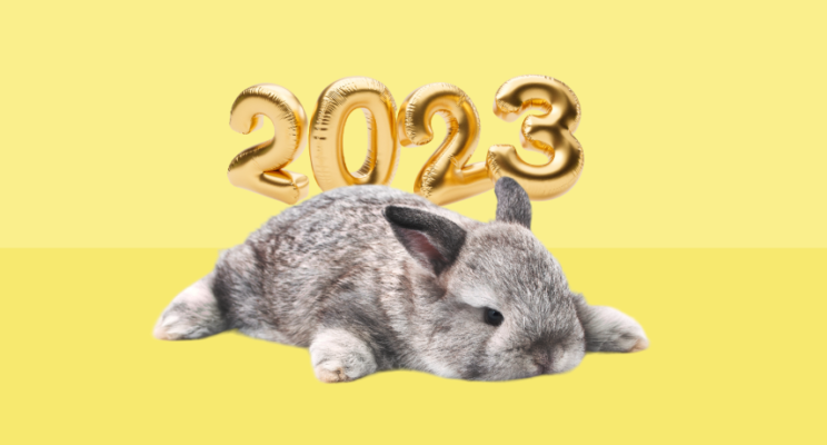 Финансовый гороскоп на 2023 год: кому принесет деньги год Черного Водяного Кролика