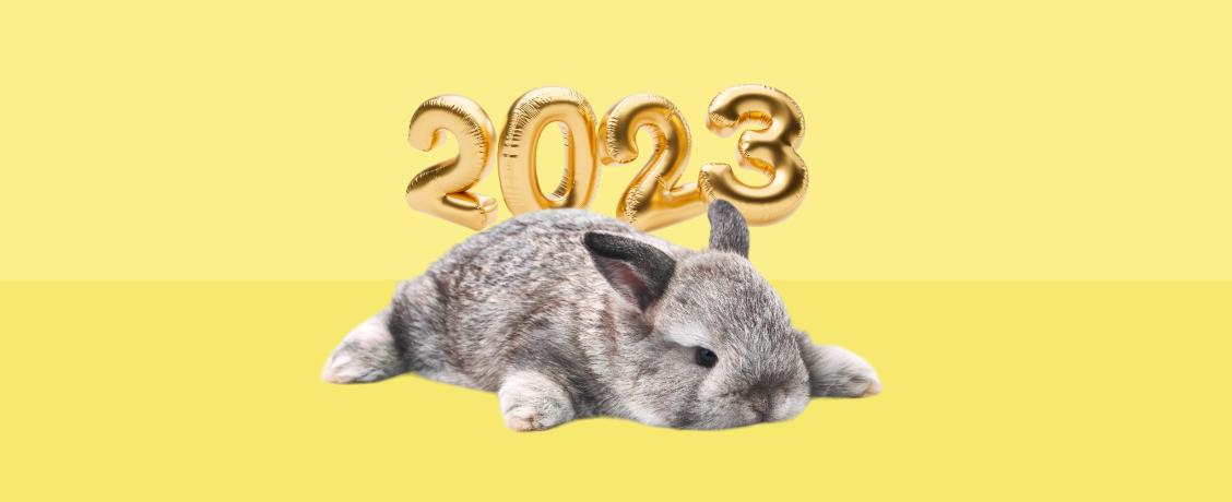 Финансовый гороскоп на 2023 год: кому принесет деньги год Черного Водяного Кролика