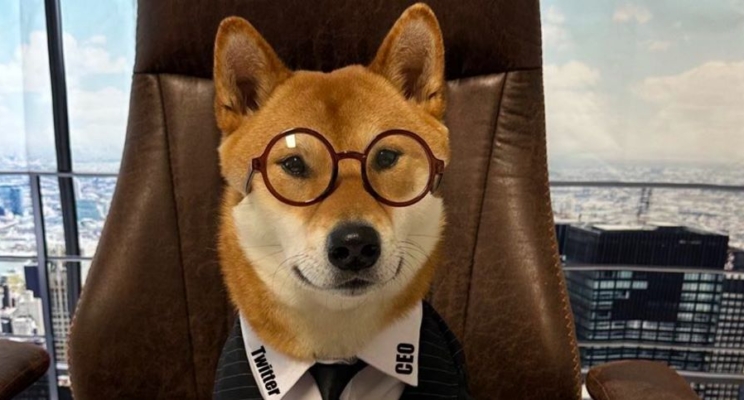 изображение 480