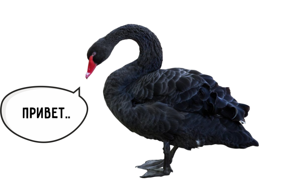 Непредсказуемое событие в экономике: что такое «черный лебедь» - изображение 378