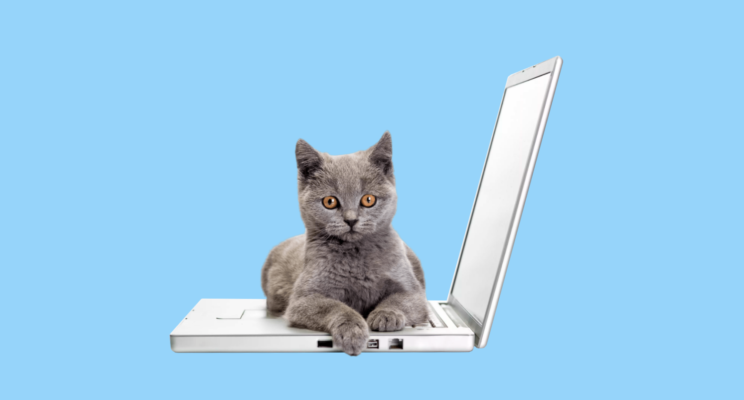 Насколько вы продуктивны? Давайте посчитаем