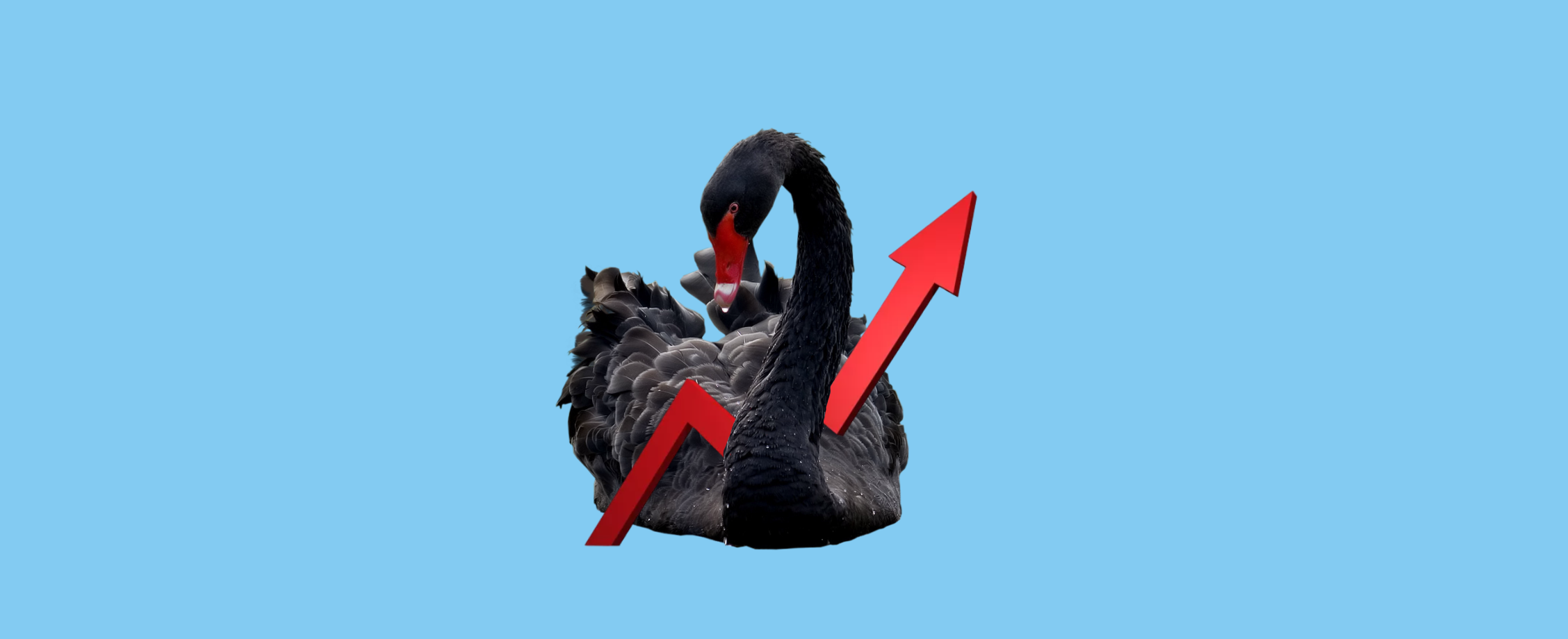 Восстание черного лебедя 2022. Черный лебедь в экономике. Черный лебедь в форсайте. Черный лебедь в трейдинге. Черный лебедь интересные факты.
