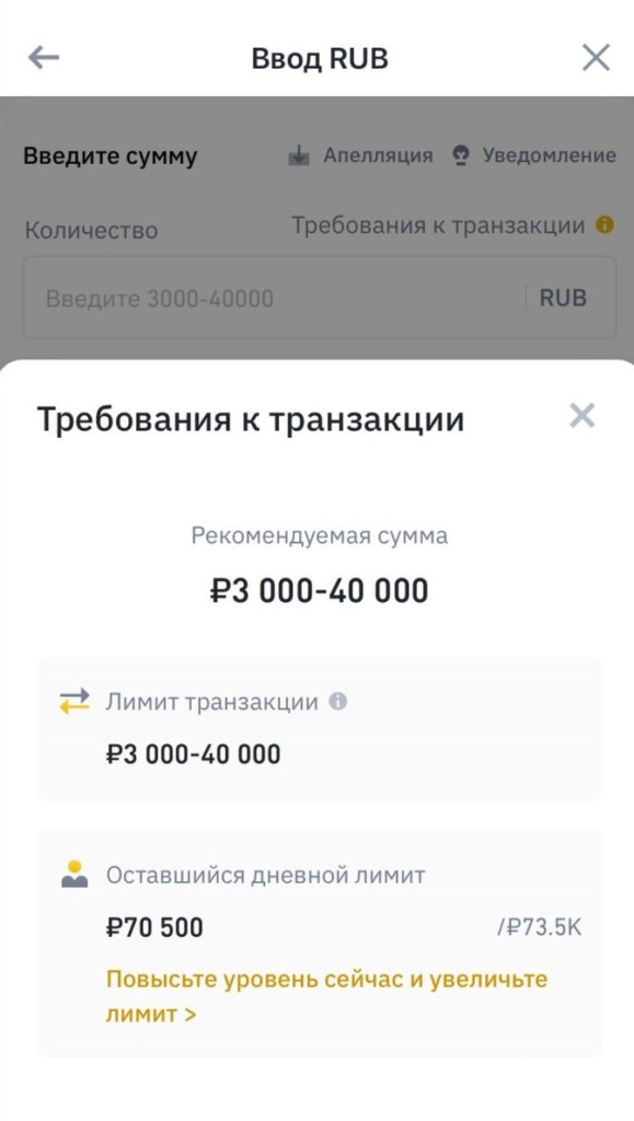 Binance вновь разрешила пополнять депозит с Visa и MasterCard, выпущенных в РФ - изображение 767