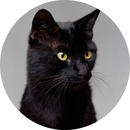 Черный кот Блэки — 12,5-25 млн долларов (1-2 млрд рублей)