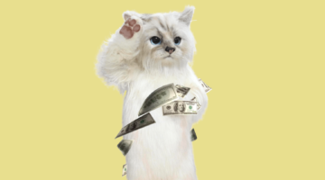 Самые богатые домашние питомцы в мире: топ счастливых не-только-кошек