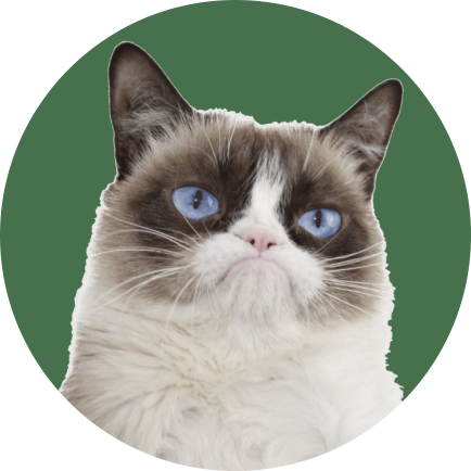 Сварливый кот — 1-100 млн долларов (81,6 млн — 8,1 млрд рублей)