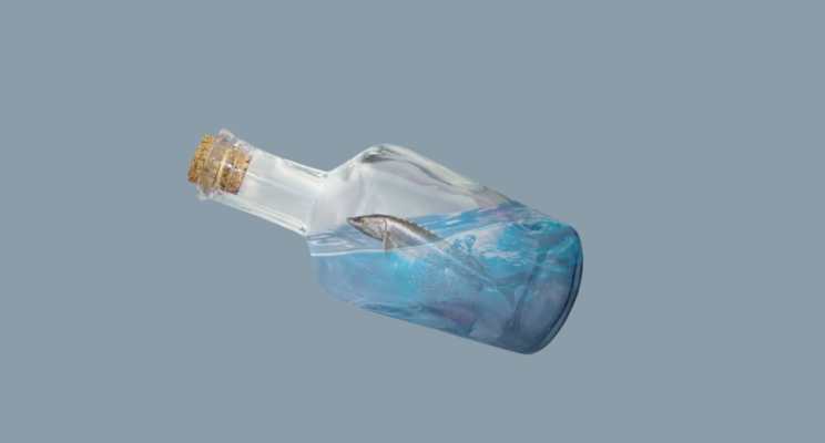 Между первой и второй: обзор акций «Белуга Групп»